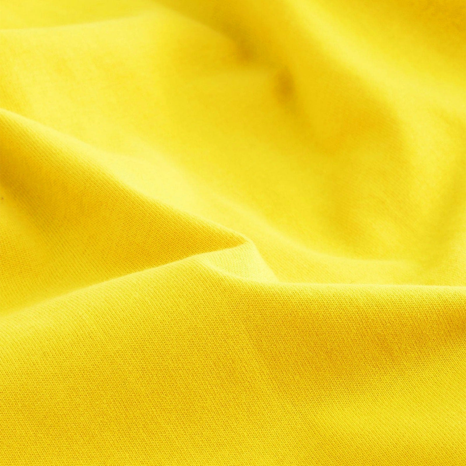 Yellow “Roar” Dinosaur Boys T‑Shirt